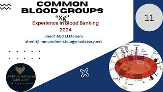 Common blood groups 11 quotXgquot [upl. by Lovell]