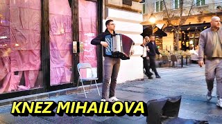 Izvrsni harmonikaš Knez Mihailova BeogradFotoVoja [upl. by Vladimir]