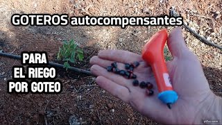 Colocar GOTEROS con herramienta manual RIEGO por GOTEO [upl. by Nirehtac]