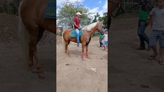 Cavalo top na feira de Cavalo foi vendido os cavalos mais lindos cavalo [upl. by Nileuqaj]