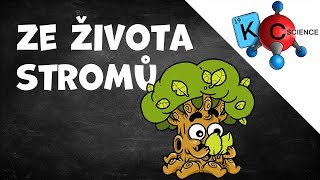 Ze života stromů [upl. by Wynn111]