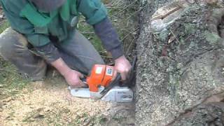 stihl ms 440 [upl. by Haraf]