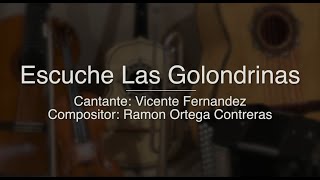 Escuche Las Golondrinas  Puro Mariachi Karaoke  Vicente Fernandez [upl. by Weinshienk505]