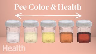 What Your Urine Color Says About Your Health  Urinary System Breakdown  DeepDives [upl. by Akeemahs]