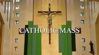 Roman Catholic Mass for November 17th 2024 Thirtythird Sunday in Ordinary Time [upl. by Tace]