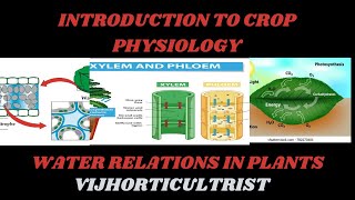 Lecture1 Plant Water Relations  Plant Physiology Life science CSIRNET  BSC MSC [upl. by Nye]