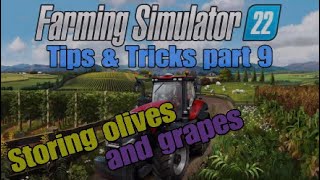 FS22 Tips and Tricks 09 Storing Olives and Grapes on Console [upl. by Nnaasil]