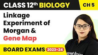 Class 12 Biology Ch 5 Linkage Experiment of Morgan amp Gene MapPrinciples of Inheritance amp Variation [upl. by Ientirb]