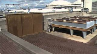 Understanding Wastewater Treatment [upl. by Savannah]