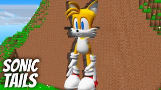 I found a SONIC TAILS in MOUNTAIN in Minecraft  Whats inside the SONIC MILES [upl. by Narine]