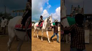 Dhruvi Horse 🐎 Riding  horse horses ghoda horseriding horselover ytvideo shortsfeed dhruhi [upl. by Ffoeg]