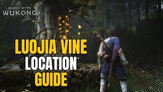 Luojia Location Vine Guide  Chapter 4 Middle Hollow  Black Myth Wukong [upl. by Treblih778]