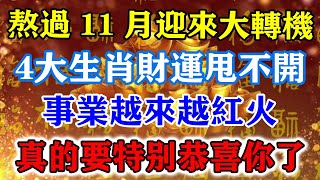 熬過11月迎來大轉機！4大生肖財運甩都甩不開，事業越來越紅火，真的要特別恭喜了！運勢 風水 佛教 生肖 发财 横财 【佛之緣】 [upl. by Alaet]