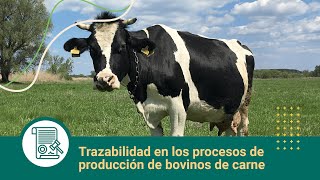 Trazabilidad en los procesos de producción de bovinos de carne [upl. by Akemad]