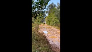 Ever wondered what aquaplaning sounds like 🌧️ rally [upl. by Ulrike]