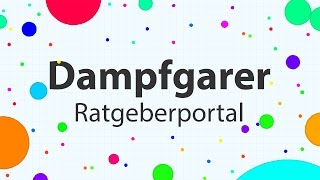 Dampfgarer  Infos Tipps und Kaufempfehlungen [upl. by Deckert539]