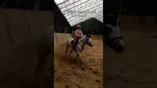 My riding throughout yearsAngus🤩horse equestrian pony horseriding horselover showjumping [upl. by Rochelle]