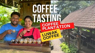 Exploring Ubud coffee plantation and the original Luwak coffee proccessing ☕️ [upl. by Edi]