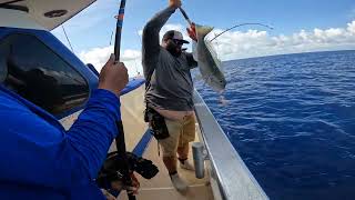 Golden TileFish caught on electric reel at Pulley Ridge [upl. by Imyaj]