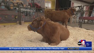 Fun with farm animals at the Utah State Fair [upl. by Adolph]