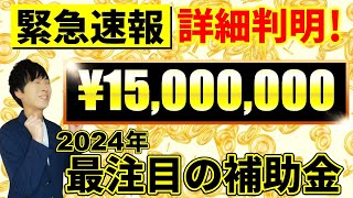 【知らないと損】2024年激熱補助金を最速で公認会計士が徹底解説 [upl. by Audris]