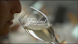 Visita las cavas Freixenet  VisitFreixenet [upl. by Labaw]