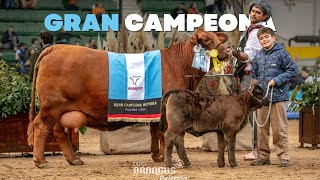 GRAN CAMPEONA HEMBRA  EXPO RURAL BRANGUS PALERMO 2024 [upl. by Kenta52]