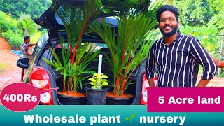 Wholesale Plant Nursery  5 Acre land😱😱  The largest plantation in Kerala [upl. by Judsen]