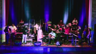 CHAMELEON ORCHESTRA live 2013 [upl. by Harrow619]