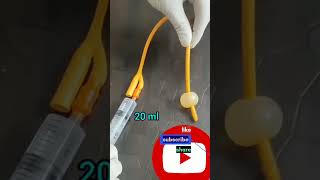 foleys catheter urinaycatheter shortsvideo mbbs nursing [upl. by Cristionna]