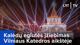 Kalėdų eglutės įžiebimas Vilniaus Katedros aikštėje  20231201 [upl. by Otsenre]