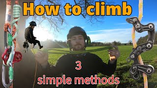 3 easy methods on how to climb a tree  Arborist training for beginners and pros [upl. by Ahsaekal]