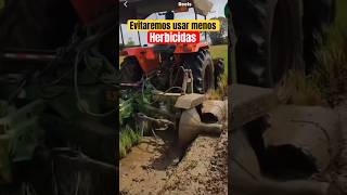 Uso de Herbicidas en cultivo de arroz cultivos agricultura agriculture agro mundoagronomico [upl. by Adama]