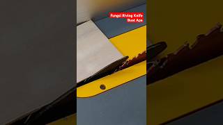 Cek FULL VIDEO  Buat Apa Pasang Riving Knife [upl. by Dayiz669]