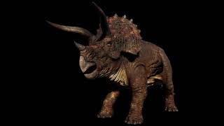 Triceratops Horridus Custom Sounds JP part 3 [upl. by Queridas]