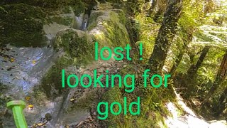 lost in the new Zealand 🇳🇿bush … Shamrock creek🍀 EP2 [upl. by Reinold787]