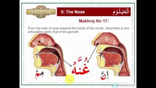 Makhraj No 1717  Makhraj of Ghunnah  Articulation Points of Arabic Letters [upl. by Kcinnay]