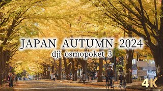 4K  Sapporo Hokkaido Japan  Autumn 2024  dji osmopoket3 [upl. by Zola139]