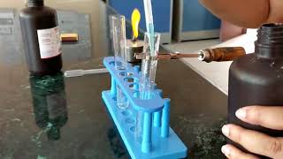 Fehlings test for carbohydrates [upl. by Lewellen]