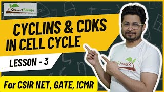 Cyclins and cyclin dependent kinases cdks  Cyclins and cdks in cell cycle [upl. by Norahc]