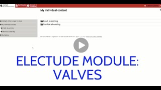 Electude Module Valves [upl. by Nainatrad201]