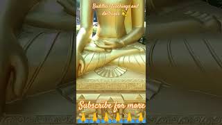 Buddhas teachings and doctrines motivationalquotes motivational buddhainspired peace shorts [upl. by Elleron]