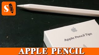 Quick Fix for Apple Pencil Not Writing – Tip Replacement Guide [upl. by Sylvan306]