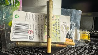 7 for 5 Gram PreRolls Rush HemP Farms Review [upl. by Barfuss]