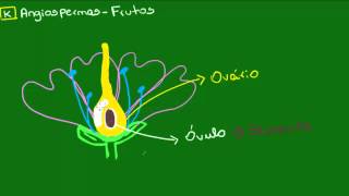 Frutos  Botânica  Biologia [upl. by Sapienza684]