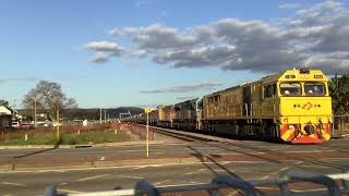 Grain train in midland Arizon and CBH locomotives [upl. by Pammie707]