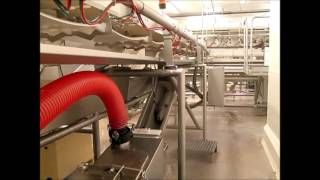 Whooshh Seafood Processing Narration Austevoll Norway [upl. by Edgerton]