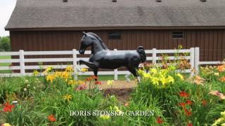 Louisville KY National Daylily Convention Tour Gardens [upl. by Eusadnilem]