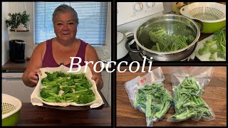 BLANCHING BROCCOLI FOR THE FREEZER [upl. by Ydnem]