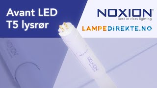 Noxion Avant T5 LED lysrør  Lampedirekteno [upl. by Fawne574]